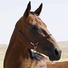 Turkmenistan